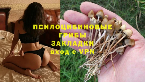 МДПВ Алексин