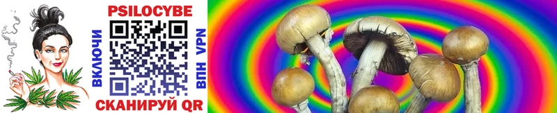 Псилоцибиновые грибы Psilocybe  Бакал 