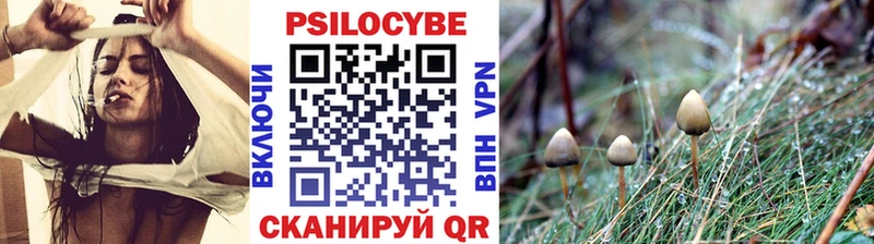 Галлюциногенные грибы мухоморы Бакал